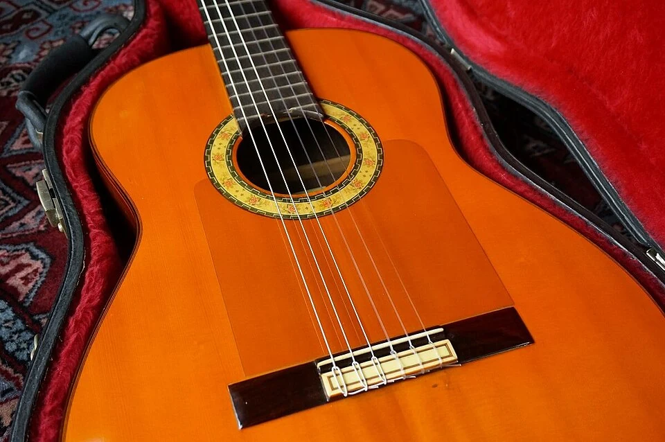The wooden body, strings and rosette of a flamenco guitar resting in a red-lined case.